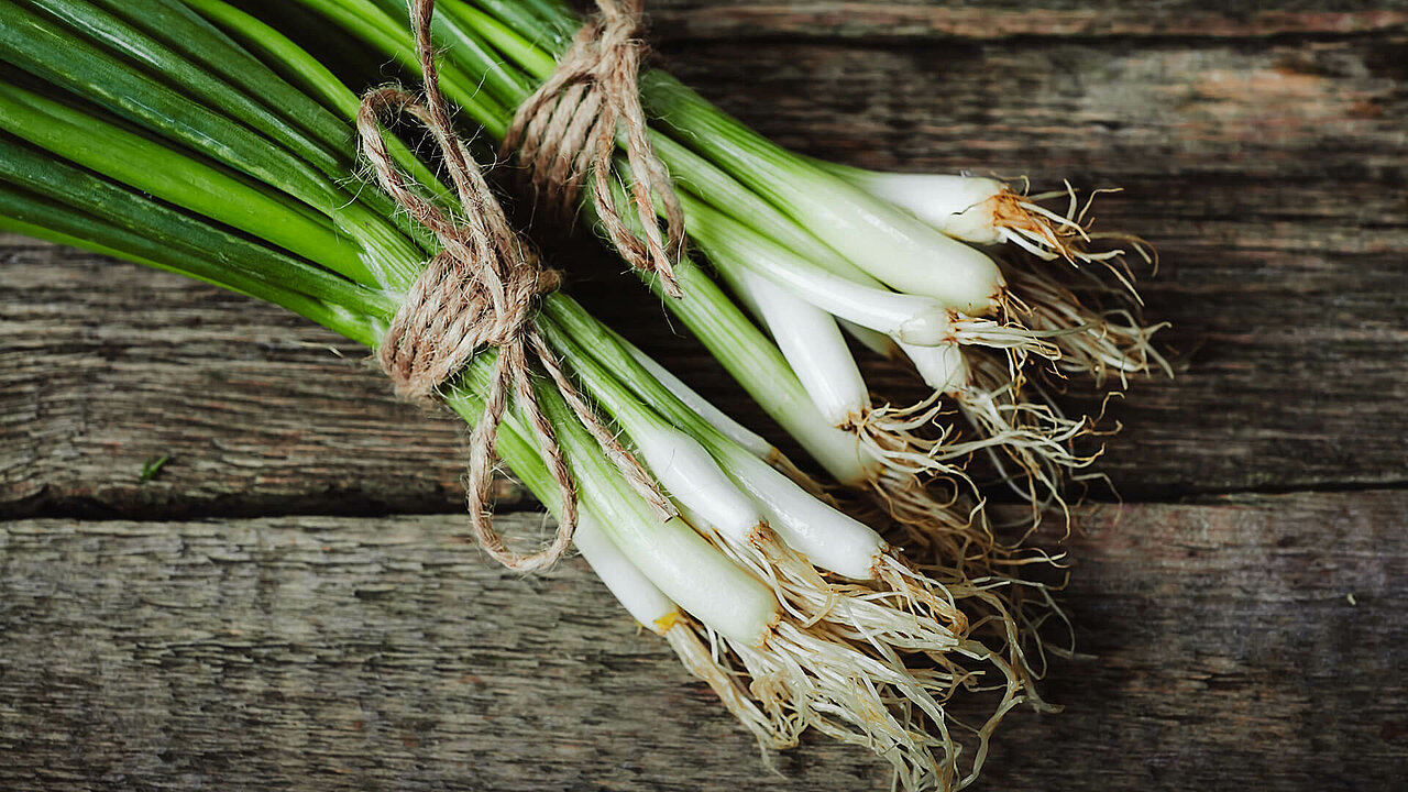 fruehlingszwiebeln